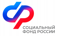 Отделение СФР по Хабаровскому краю и ЕАО выплачивает пособие беременным женам призывников